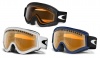 Oakley L Frame