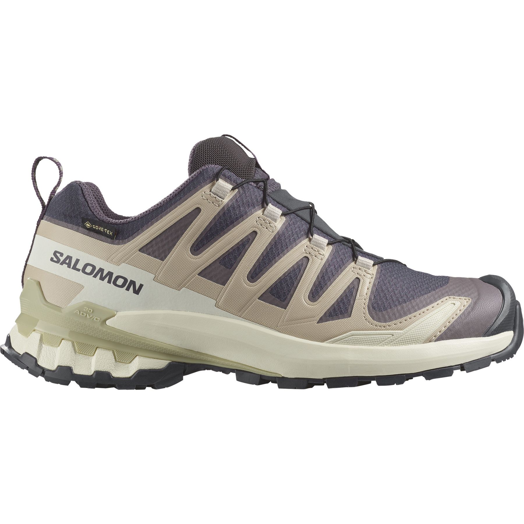Salomon XA Pro 3D V9 GTX, Trailsko, Dam, Lila
