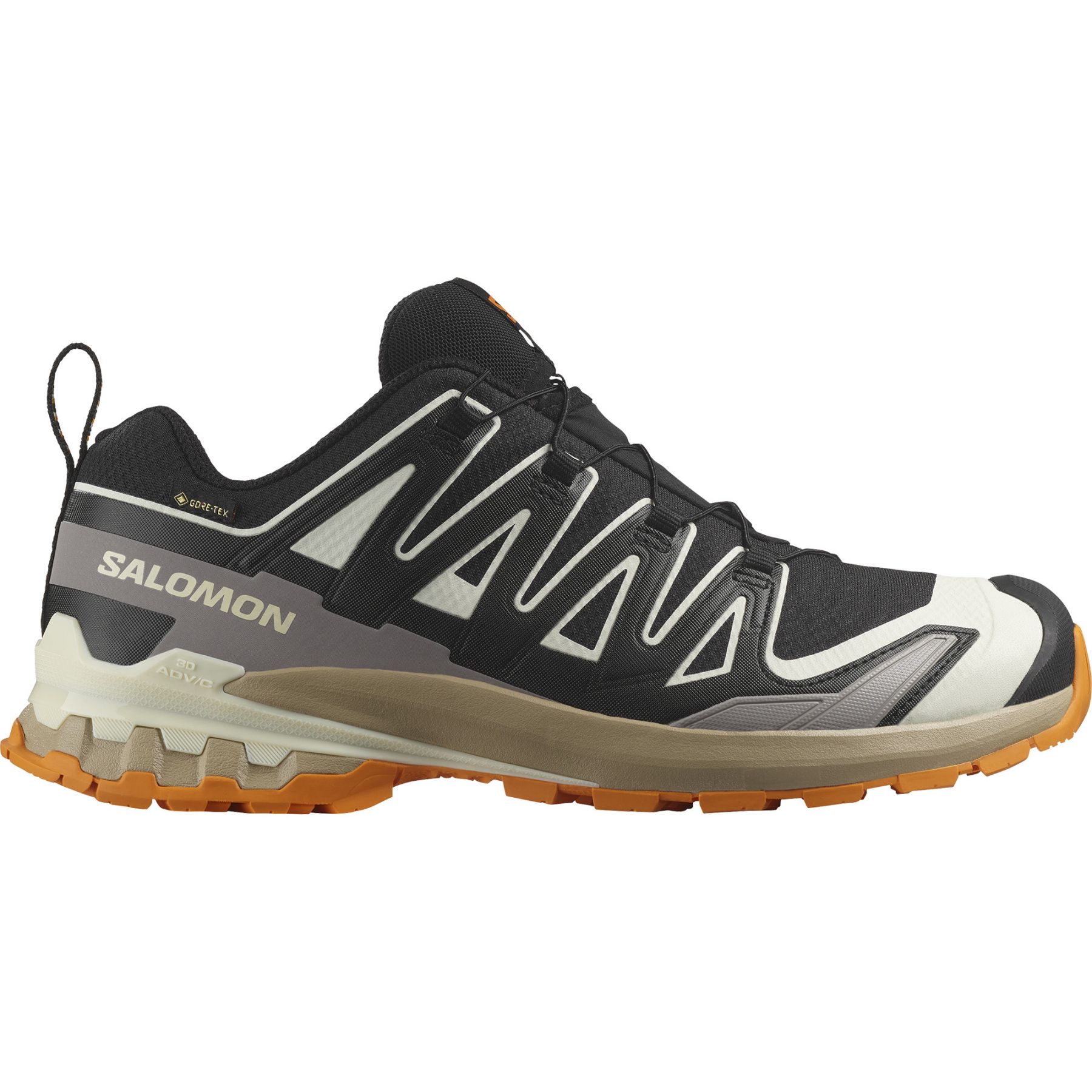 Salomon XA Pro 3D V9 GTX, Trailsko, Herr, Svart